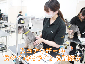 学校のモデル犬を１年生がトリミング！